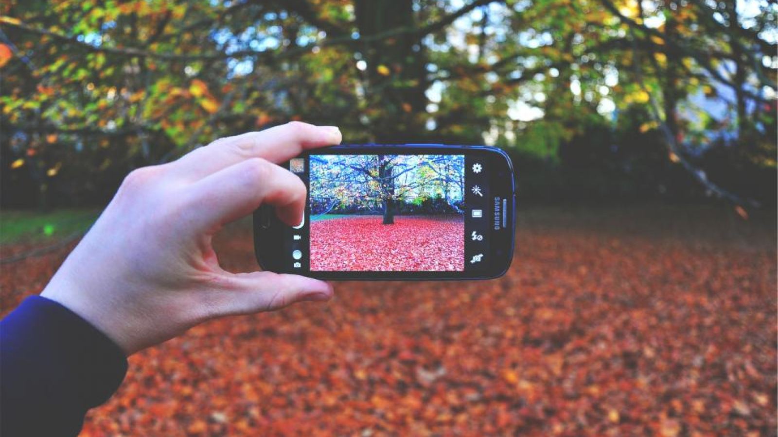 Mano sosteniendo un móvil que fotografía un parque en otoño