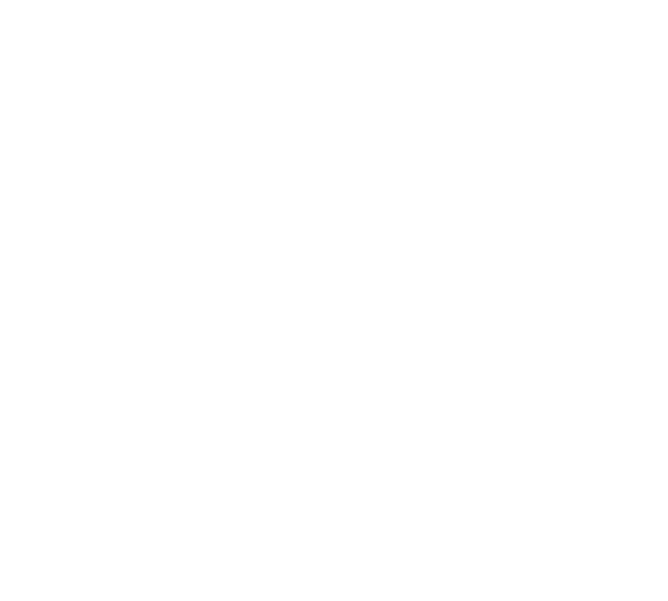 Hugo Recovery